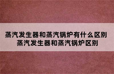 蒸汽发生器和蒸汽锅炉有什么区别 蒸汽发生器和蒸汽锅炉区别